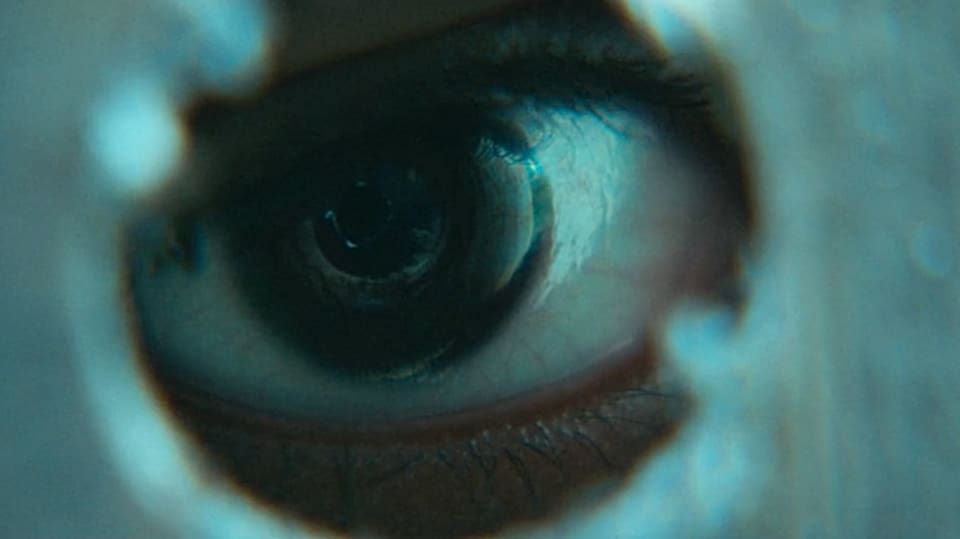 It Comes at Night (2017)